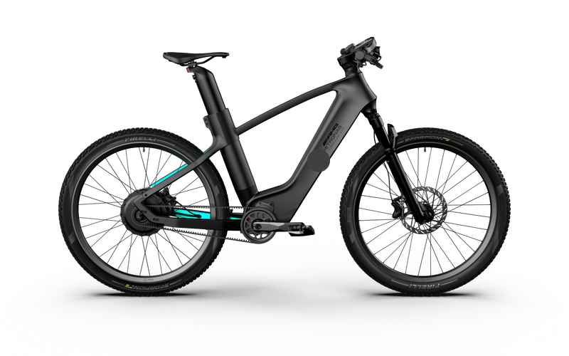 Rallye Edition Electric Bike