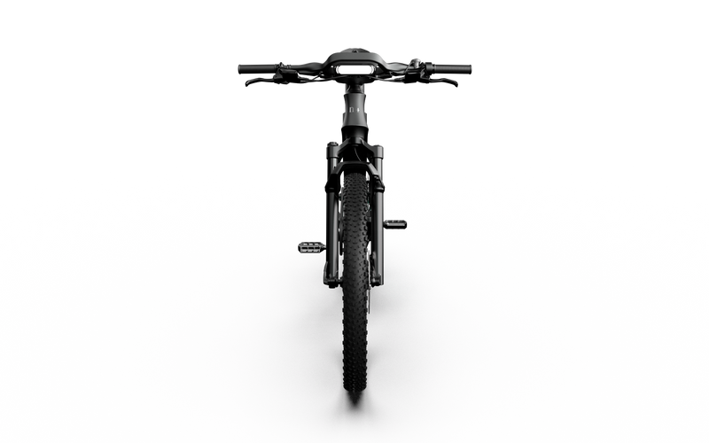 Rallye Edition Electric Bike