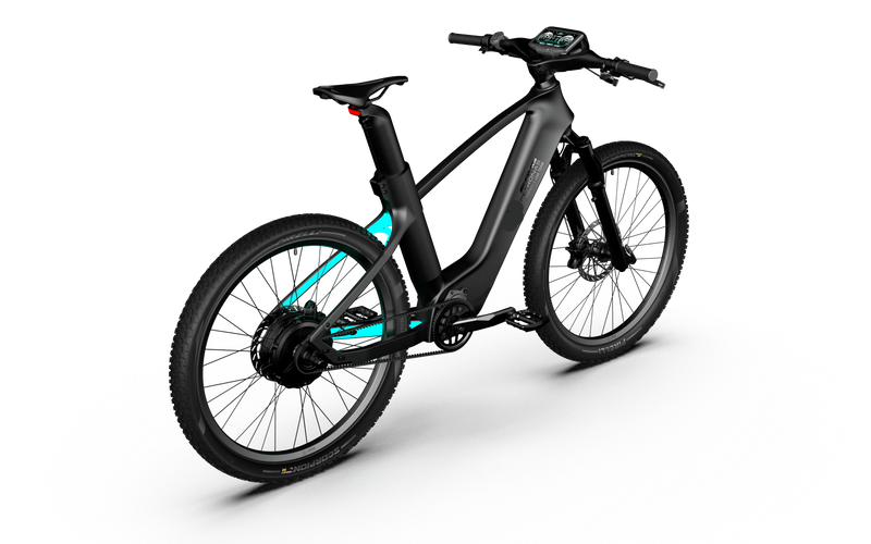 Rallye Edition Electric Bike