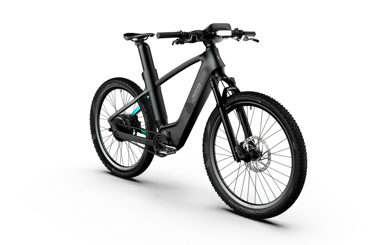 Rallye Edition Electric Bike