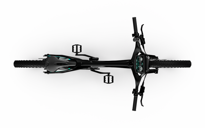 Rallye Edition Electric Bike