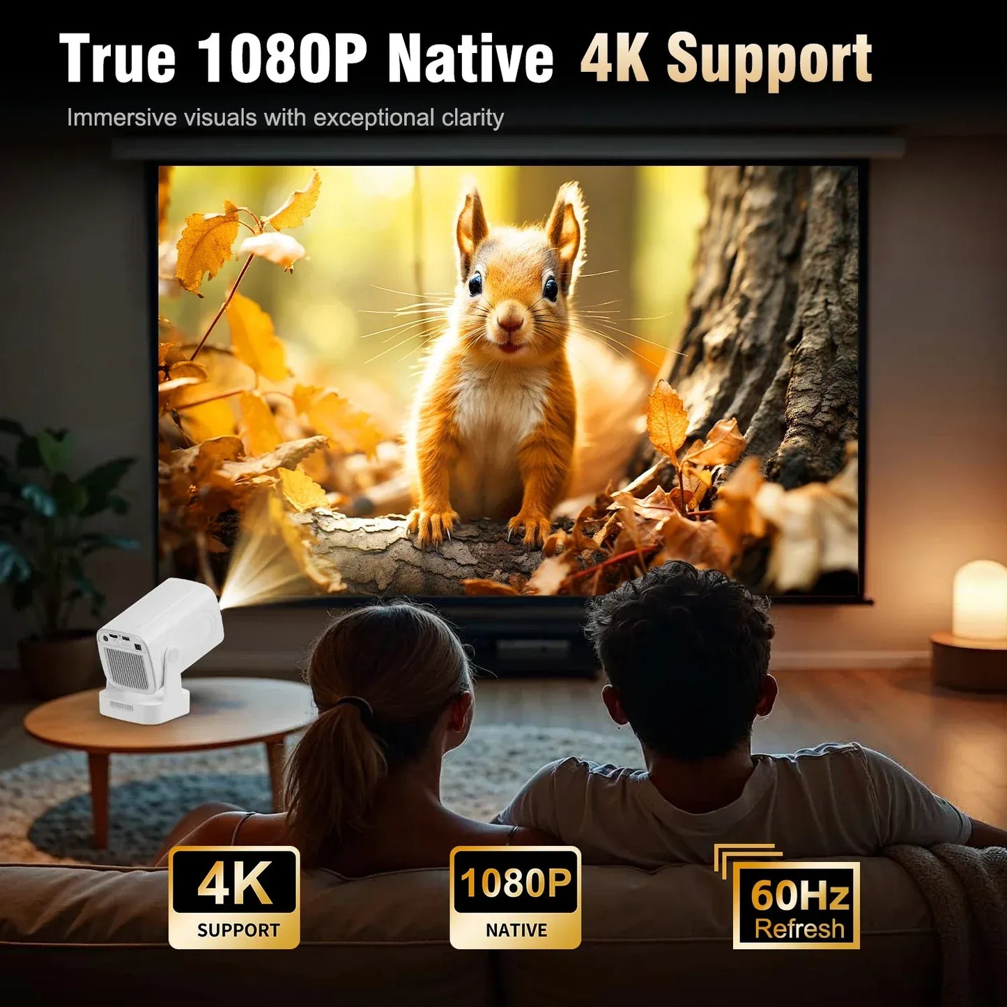 Projector Pro