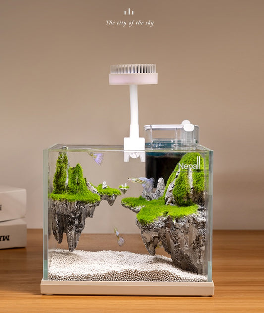 Fish tank set with hang on back filter and light