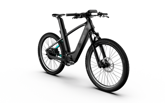 Rallye Edition Electric Bike
